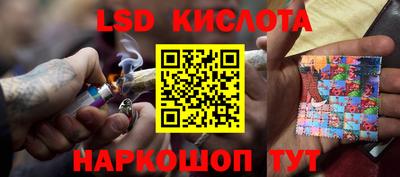 СК Можга